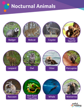 Ages 7-9: Tuesday (AR on the go)