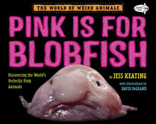 Grades 6-8: Pink is for Blobfish (AR on the Go)