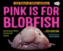 Pink is for Blobfish (7th Grade)
