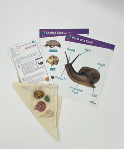 Ages 7-9: The Snail and the Whale (AR on the Go)