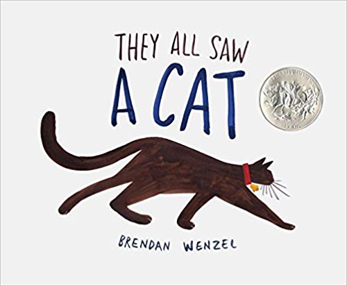 They All Saw a Cat (3rd Grade: Series 2)