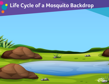 Ages 9-11: Why Mosquitoes Buzz in People's Ears (AR on the Go)
